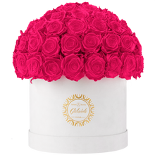 Velvet Special Collection bouquet with more than 60 Roses