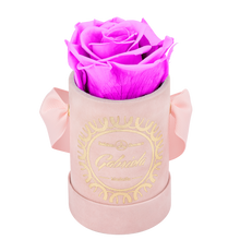 1 Rose Velvet Round Box