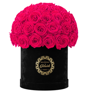 Velvet Special Collection bouquet with more than 50 Roses