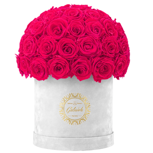 Velvet Special Collection bouquet with more than 50 Roses