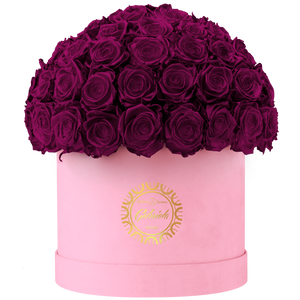 Velvet Special Collection bouquet with more than 60 Roses