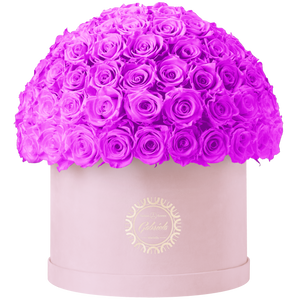 Xtra Large Velvet Special Collection bouquet with more than 100 Roses