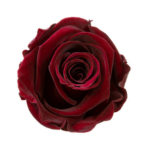 Small Luxury Round Velvet bouquet with more than  10 Roses