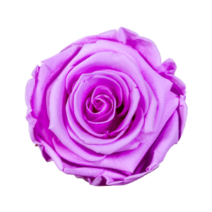 1 Rose Velvet Round Box